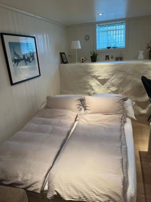 Hybel Med Bad Apartment เอเกอร์ชุนด์ ภายนอก รูปภาพ